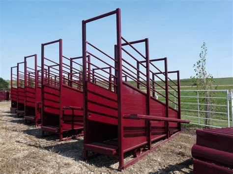 cattle loading chute dimensions|Cattle Loading Chutes